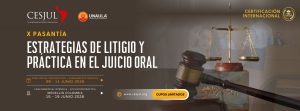 X Pasantía Internacional en Estrategias de Litigio y Práctica en el Juicio Oral