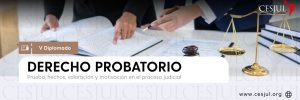 Pago V Diplomado en derecho probatorio