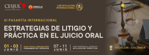 XI Pasantía Internacional en Estrategias de Litigio y Práctica en el Juicio Oral