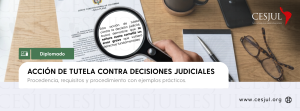 I Diplomado en acción de tutela contra decisiones judiciales