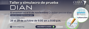Pago Taller Simulacro de pruebas DIAN 2676